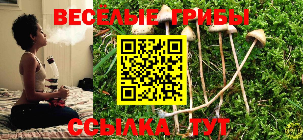 Псилоцибиновые грибы MAGIC MUSHROOMS Кингисепп