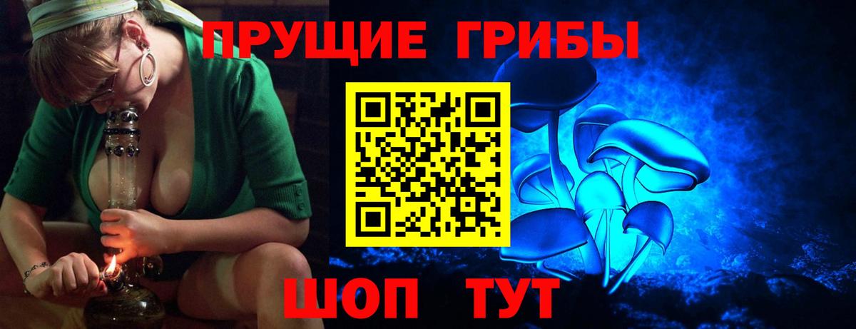 Кингисепп  Галлюциногенные грибы Psilocybine cubensis  Вход с VPN  Галлюциногенные грибы мицелий 